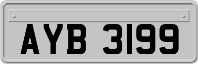 AYB3199
