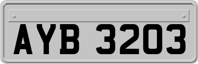 AYB3203