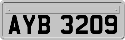 AYB3209