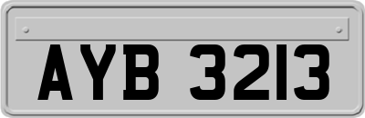 AYB3213