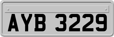 AYB3229