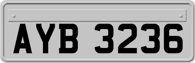 AYB3236
