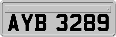 AYB3289