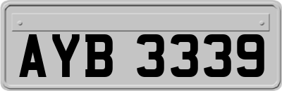 AYB3339