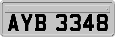 AYB3348