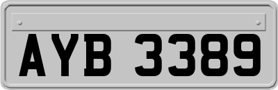 AYB3389