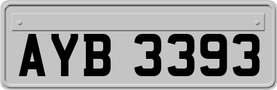 AYB3393