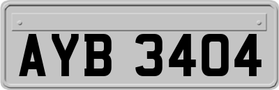 AYB3404