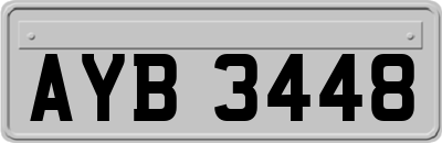 AYB3448