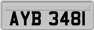AYB3481