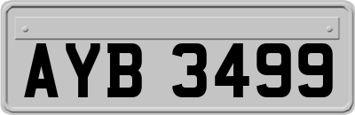 AYB3499