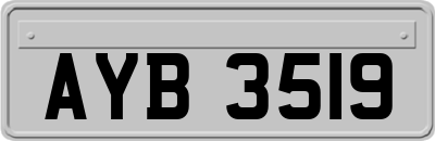 AYB3519