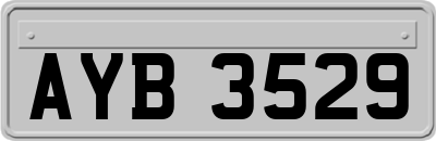 AYB3529