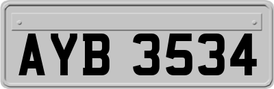 AYB3534