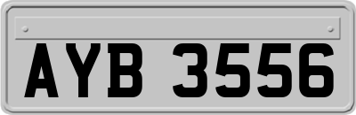 AYB3556