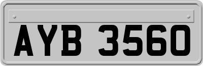 AYB3560