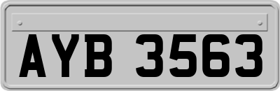 AYB3563