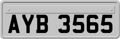 AYB3565