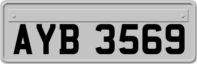 AYB3569