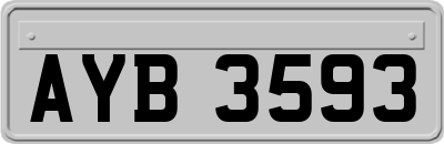 AYB3593