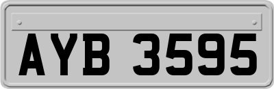 AYB3595