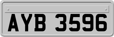 AYB3596