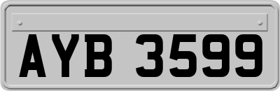 AYB3599