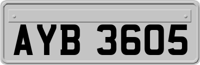 AYB3605