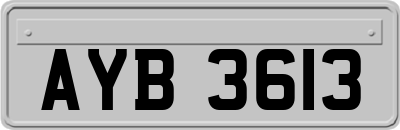 AYB3613