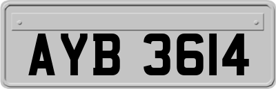 AYB3614