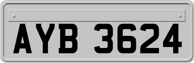 AYB3624