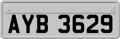 AYB3629