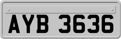 AYB3636