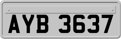 AYB3637
