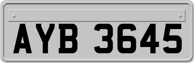 AYB3645