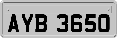 AYB3650