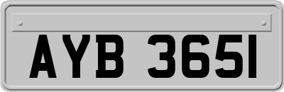 AYB3651