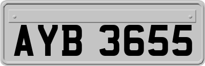 AYB3655