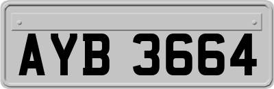 AYB3664