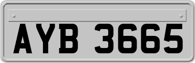 AYB3665