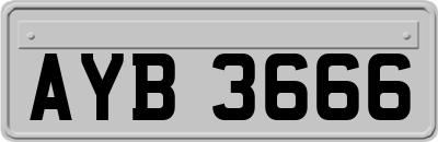 AYB3666