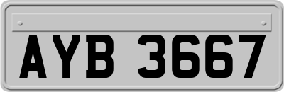 AYB3667