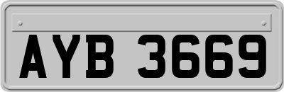 AYB3669