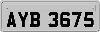 AYB3675