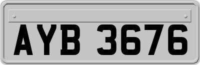 AYB3676