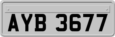 AYB3677