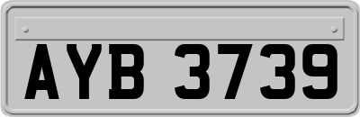 AYB3739
