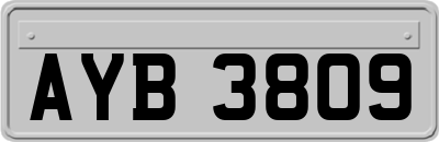 AYB3809