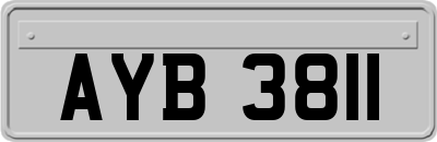 AYB3811