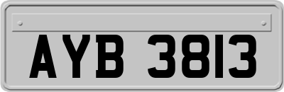 AYB3813